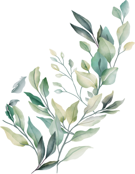 A cute flower heading slightly upwards