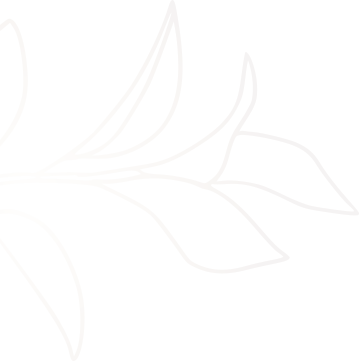 Neat shape goint to the left